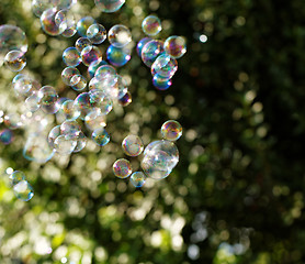 Image showing Soap bubbles