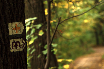 Image showing Hike sign