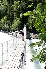 Image showing Man on suspension bridge