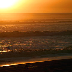 Image showing Ventura Sunset