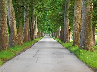 Image showing sunrise in alley