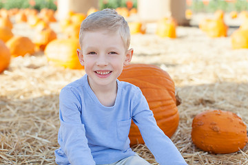 Image showing pumpkin patch