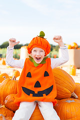 Image showing pumpkin patch