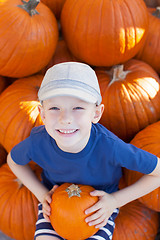 Image showing pumpkin patch