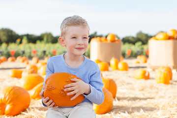 Image showing pumpkin patch