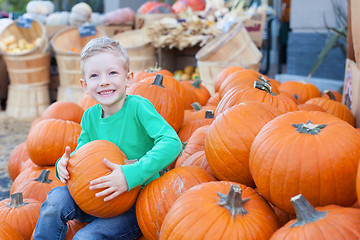 Image showing pumpkin patch