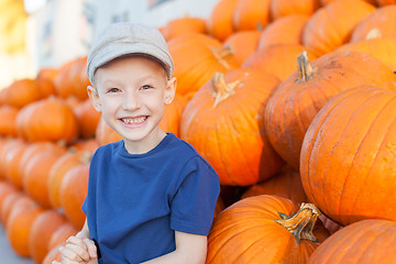 Image showing pumpkin patch