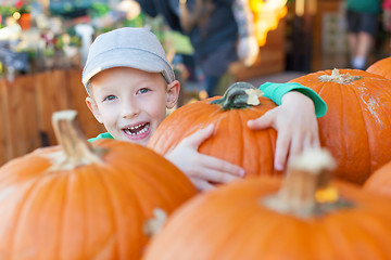 Image showing pumpkin patch