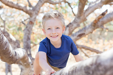 Image showing kid climbing the tree