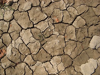 Image showing Cracked ground texture