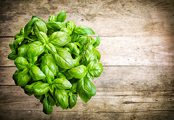 Image showing fresh basil bunch on wooden table