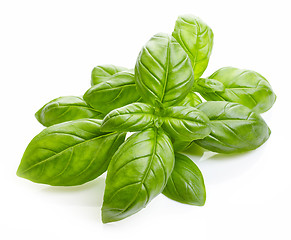 Image showing fresh basil leaves