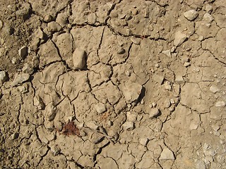 Image showing Cracked ground texture