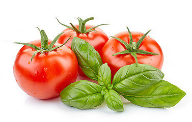 Image showing fresh tomatoes and basil leaf