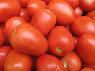 Image showing tomatoes