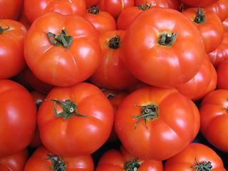 Image showing tomatoes