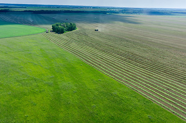 Image showing Agricultural field with harvester