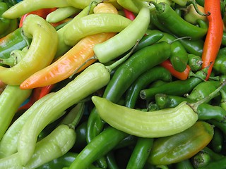 Image showing hot peppers