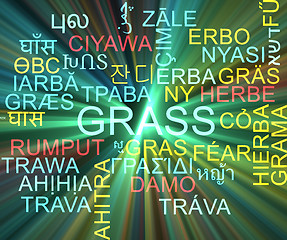 Image showing Grass multilanguage wordcloud background concept glowing
