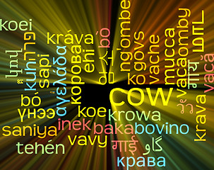 Image showing Cow multilanguage wordcloud background concept glowing