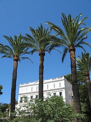 Image showing palm trees