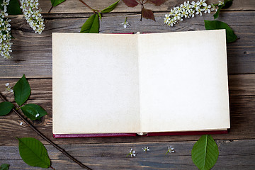 Image showing album with open pages and blossom bird-cherry