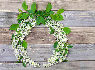 Image showing wreath of bird-cherry blossom branche