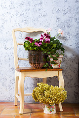 Image showing still life with home flowers