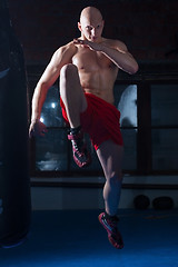 Image showing kickboxer in the gym