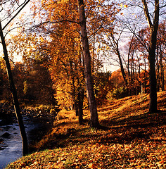 Image showing Boulognern in Gävle Sweden.