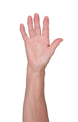 Image showing Hand of an old woman