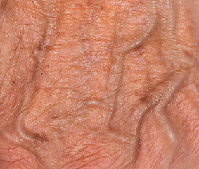 Image showing Hand of an old woman