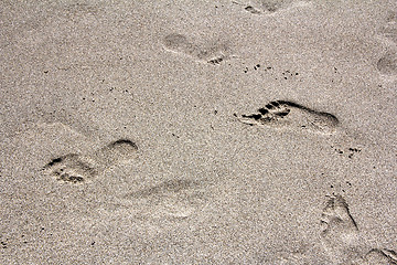 Image showing Footprints legs