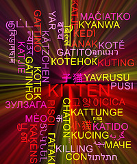 Image showing Kitten multilanguage wordcloud background concept glowing