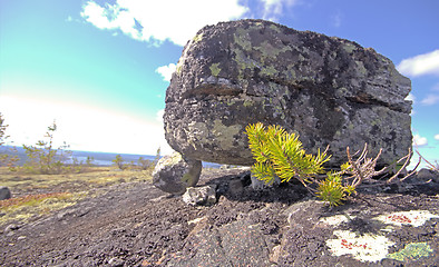 Image showing seita stone  in the polar North close up