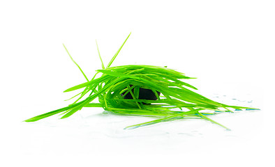 Image showing figure green grass isolated