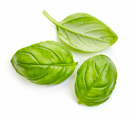 Image showing fresh basil leaves