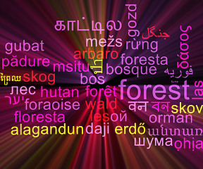 Image showing Forest multilanguage wordcloud background concept glowing