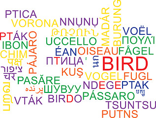 Image showing Bird multilanguage wordcloud background concept
