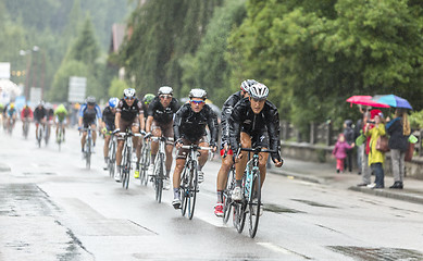 Image showing The Peloton Riding in the Rain - Tour de France 2014