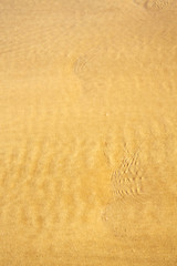 Image showing morocco in africa brown coastline wet sand beach near 