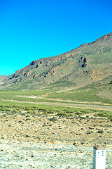 Image showing brown bush  in             africa the atlas dry mountain  