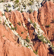 Image showing the    dades valley in atlas moroco africa ground tree  and nobo