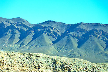 Image showing bush  in       morocco     africa the atlas dry    
