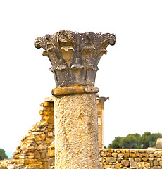 Image showing volubilis in morocco africa the old roman deteriorated monument 