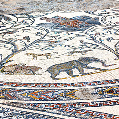 Image showing roof mosaic in the old city morocco africa and history travel