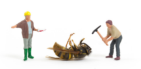 Image showing Dead wasp with miniature figurines