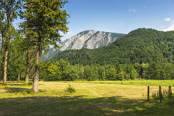 Image showing View to Jochberg