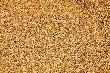 Image showing wheat grains  