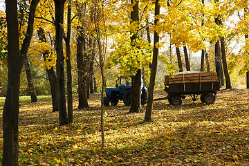 Image showing cleaning of foliage in park  